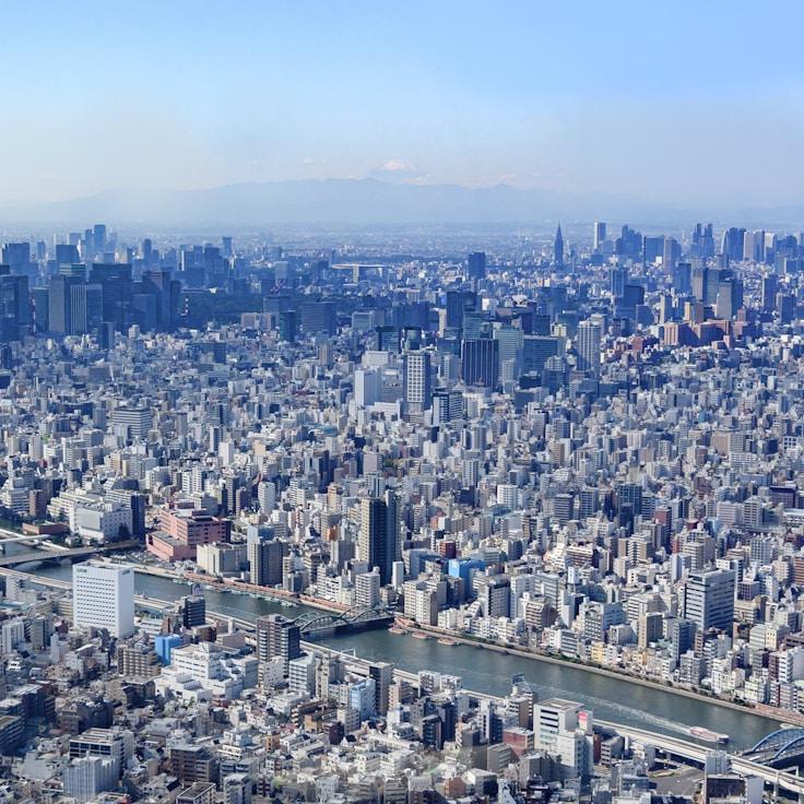 Family routine and school logistics in Paris