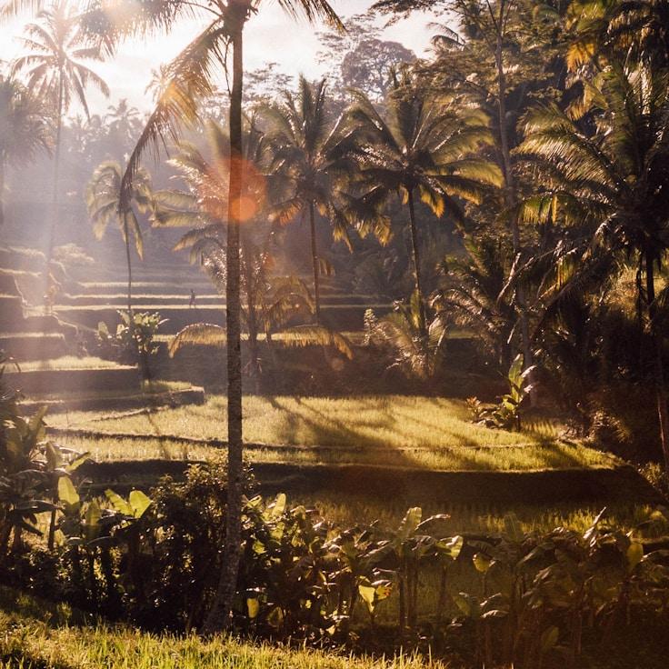 Kids playground area in France
